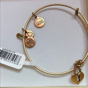 Alex and Ani Gold Charm Bracelet with Key and Lock